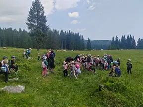 Planina Zajamniki