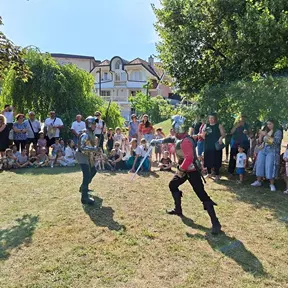 Viteški boj