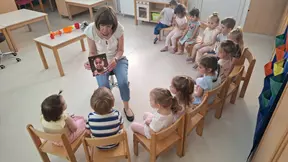 čustva