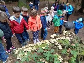 Gobova pogača na velikem zelenem štoru - to je sled škratje gostije!