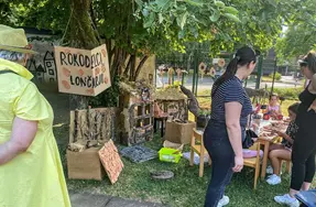 Rokodelci - lončarji