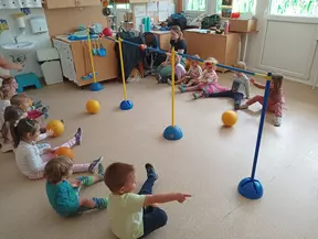 Biba kot žoga