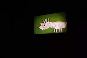 Animiramo