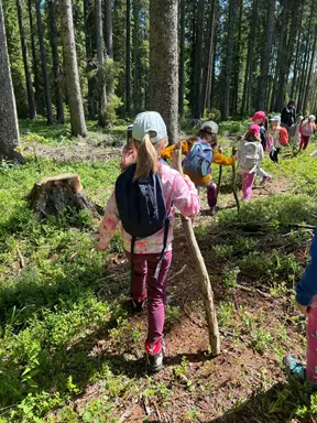 Pokljuka